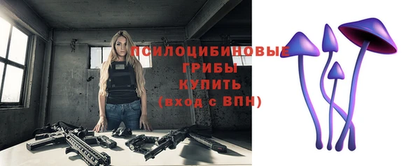 бошки Тобольск