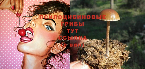 бошки Тобольск
