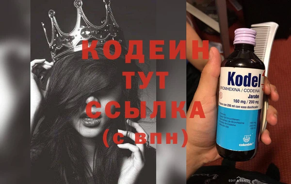a pvp Тайга