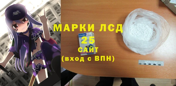 a pvp Тайга