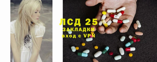a pvp Тайга