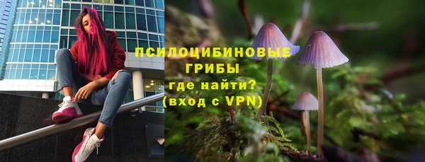 a pvp Тайга