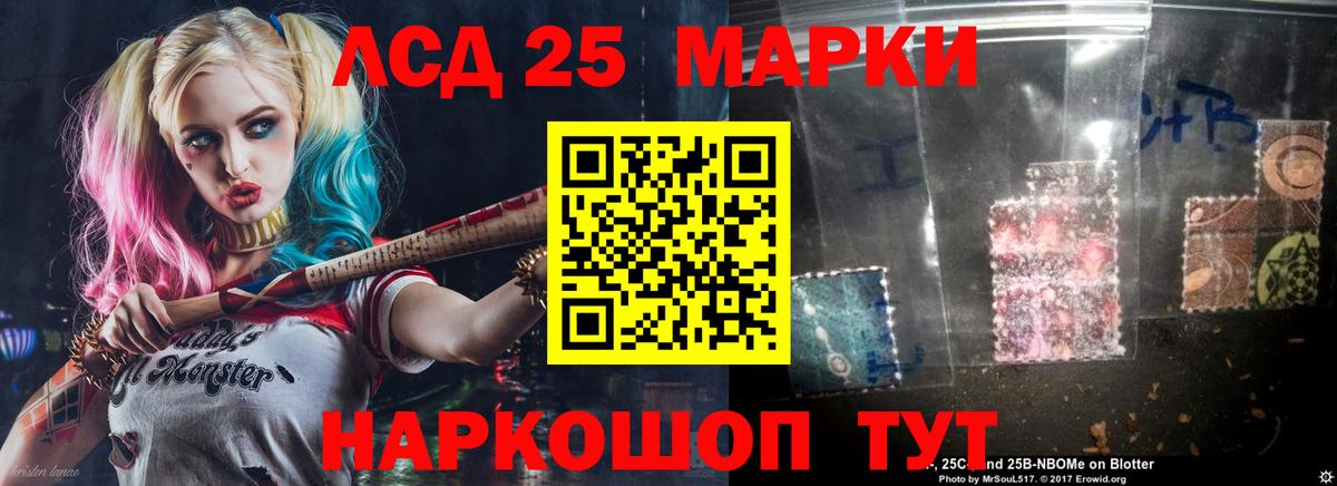 Бошки Шишки Холмск