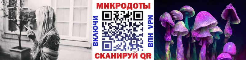 наркотики  маркетплейс формула  Псилоцибиновые грибы мицелий  Холмск 