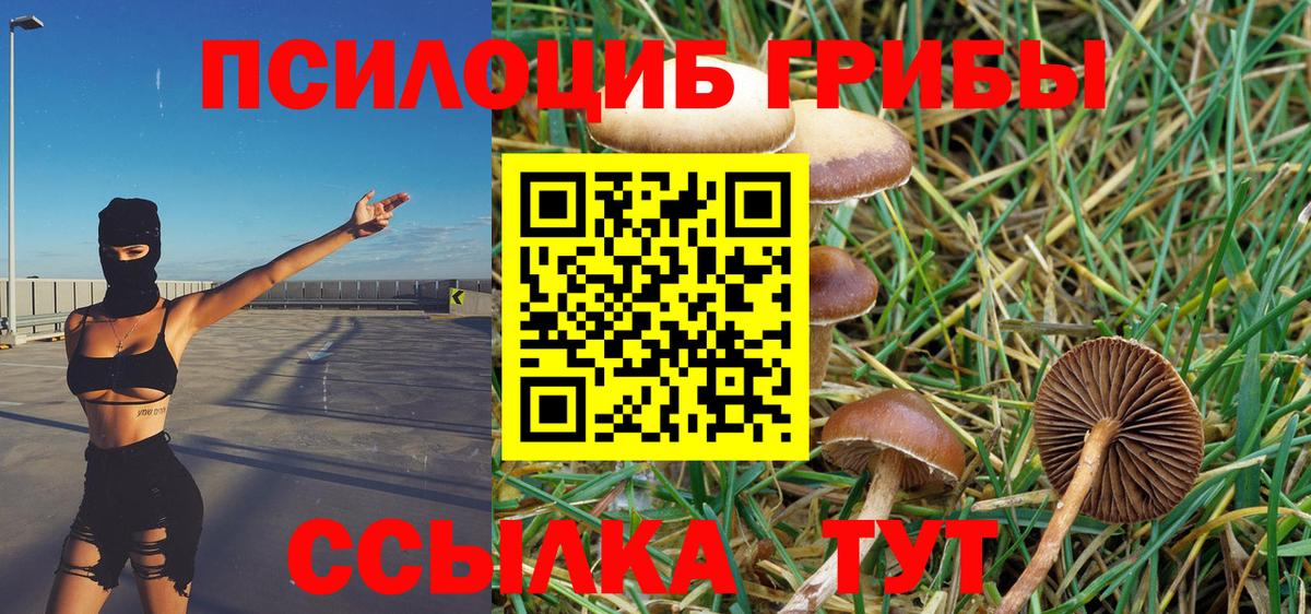 Псилоцибиновые грибы Cubensis  цена наркотик  Вход с VPN  Холмск  Псилоцибиновые грибы прущие грибы 