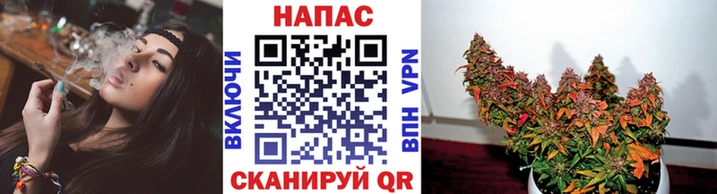 где купить   маркетплейс телеграм  Бошки марихуана марихуана  Холмск 